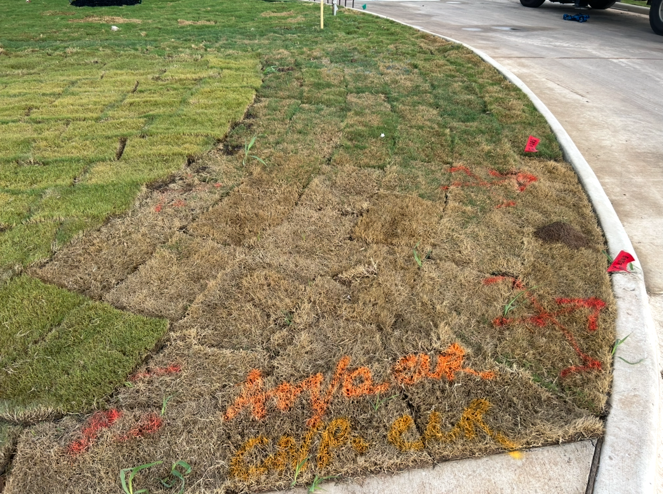 Dirt work and excavation services on a job site