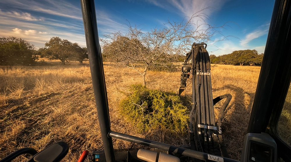 Completed land clearing project with trees removed