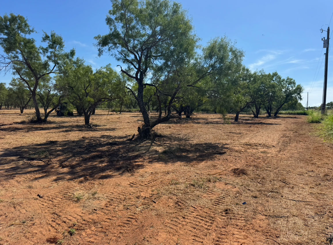 Land Clearing services in Bertram, TX