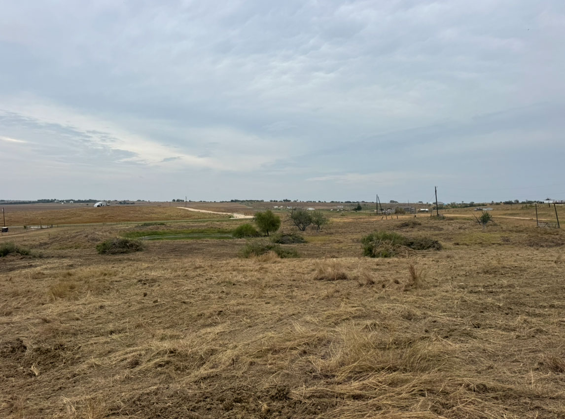 Excavator performing land clearing and site preparation